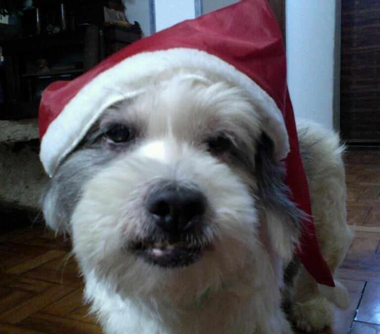Nosso bom amigo Ted