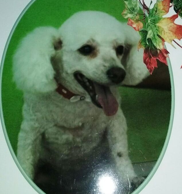 Princesa Dudi