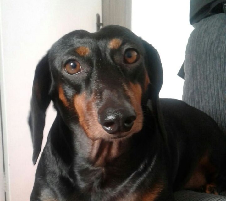 Princesa Pituka (Tutti)