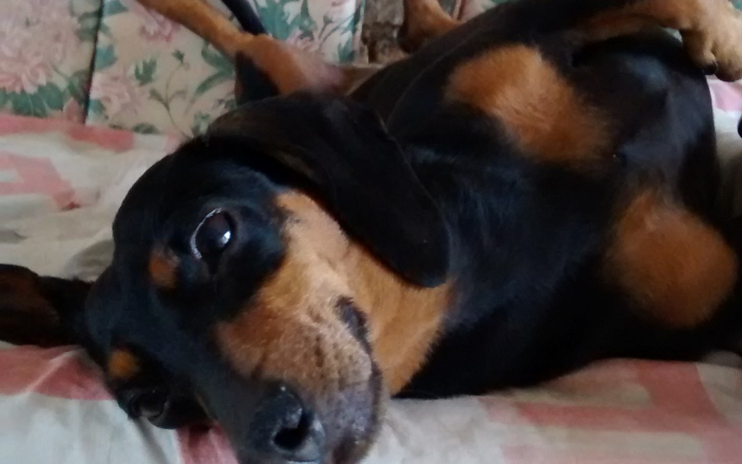 Princesa Marieta
